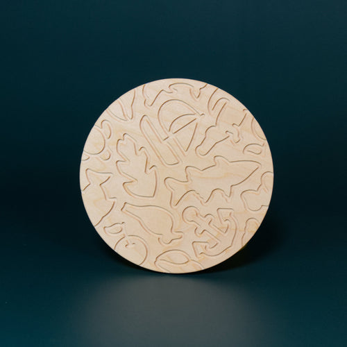Wild Florida Coaster Set