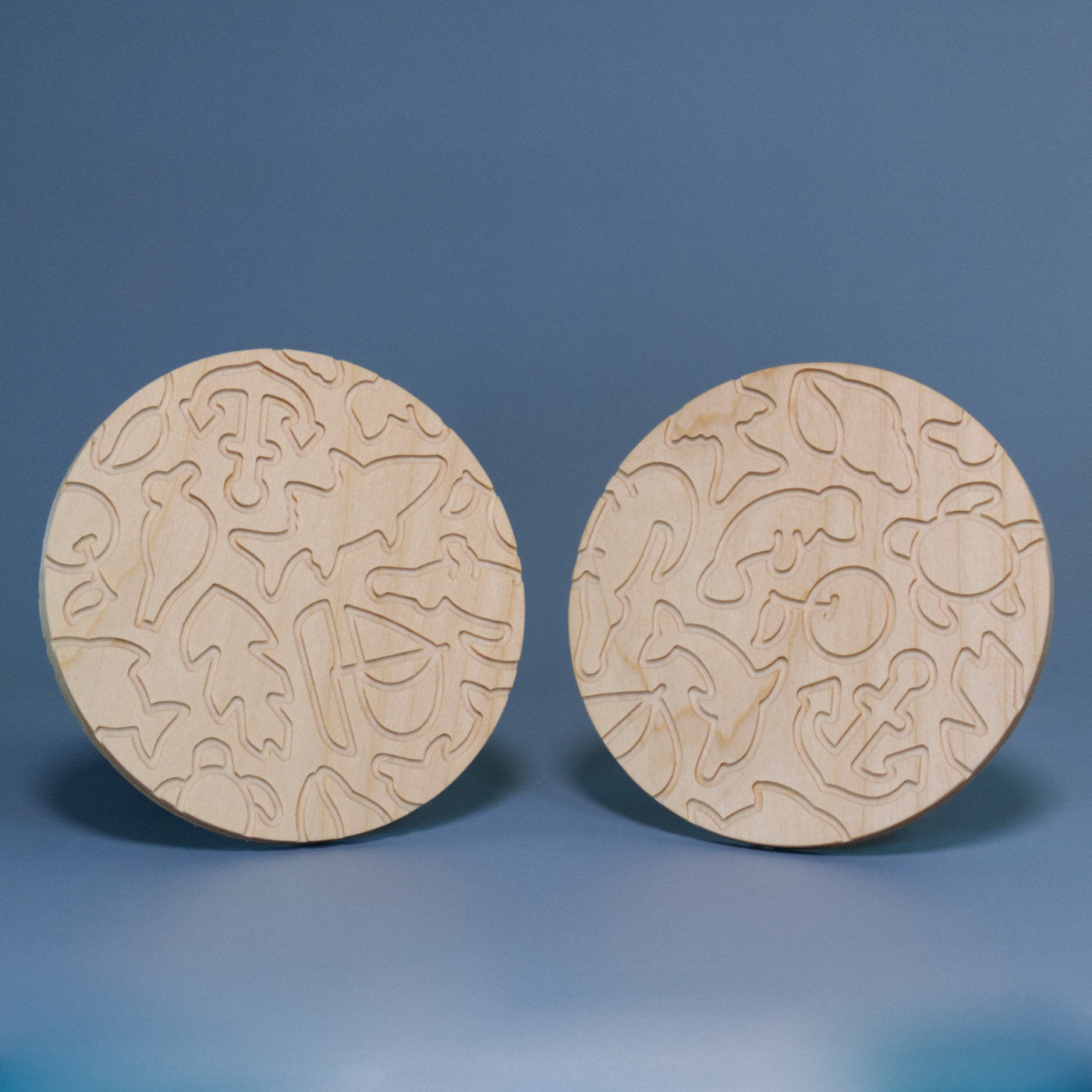 Wild Florida Coaster Set