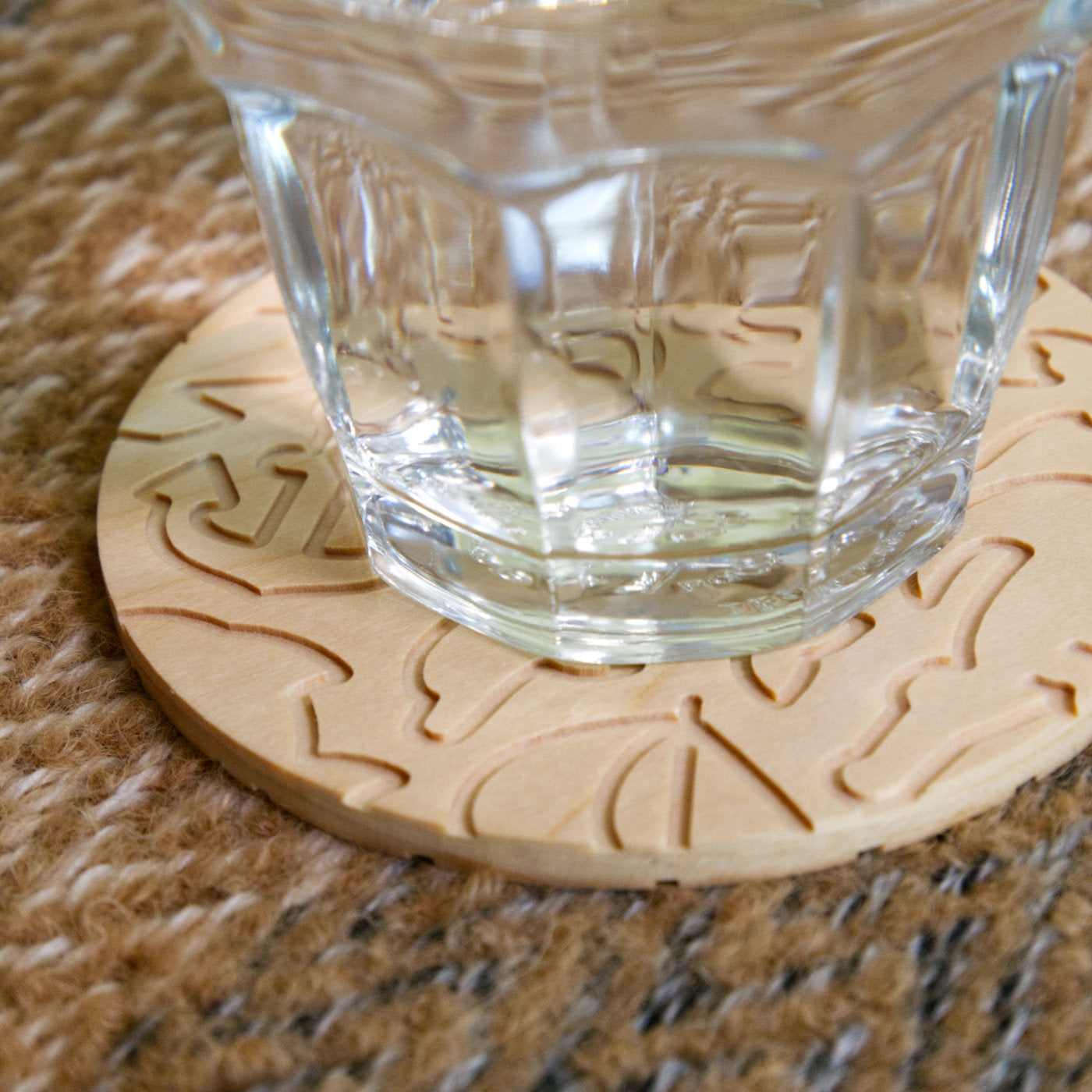 Wild Florida Coaster Set