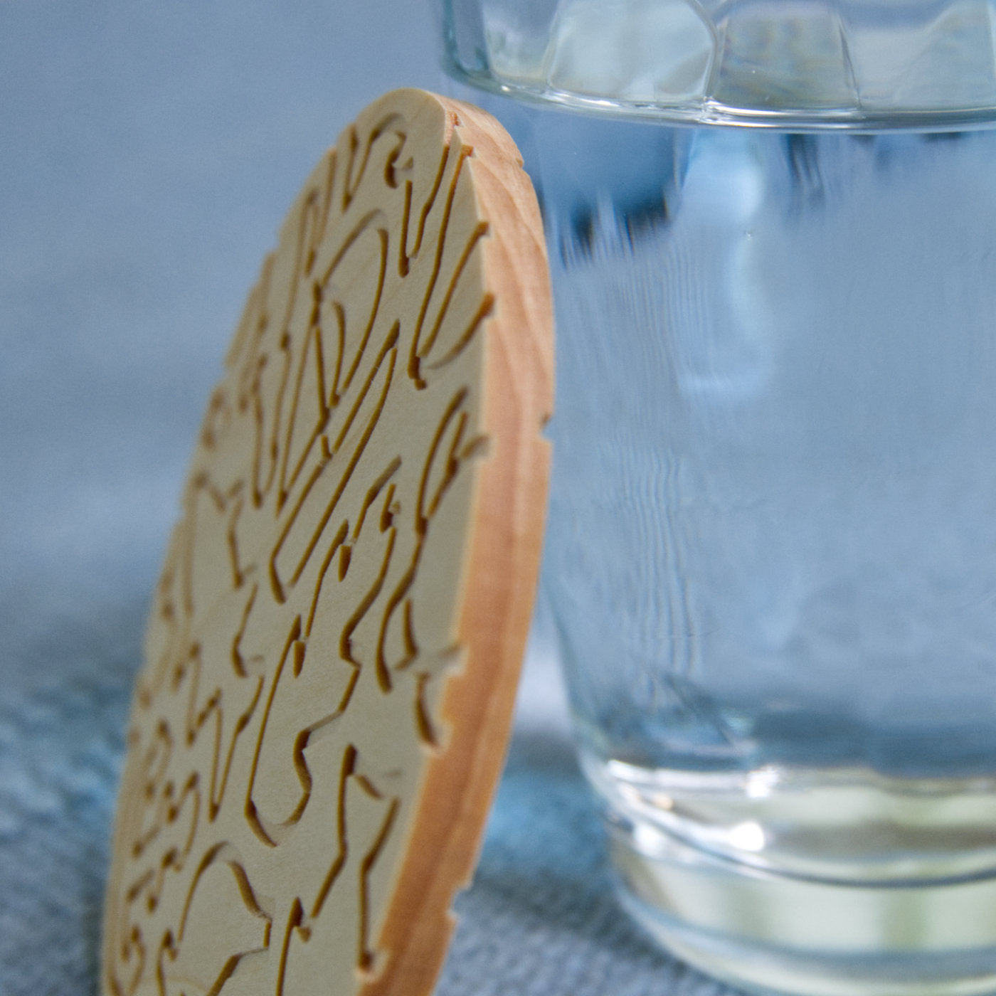 Wild Florida Coaster Set